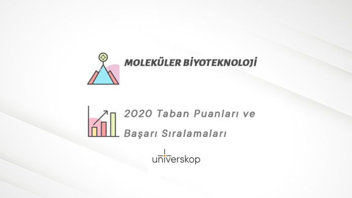 Moleküler Biyoteknoloji Taban Puanları ve Sıralamaları