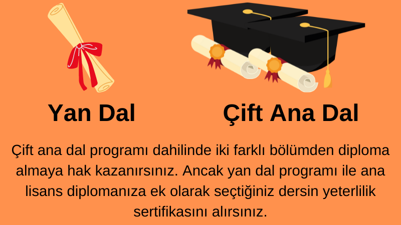 Çift Ana Dal ile Yan Dal Arasındaki Farklar Nelerdir?