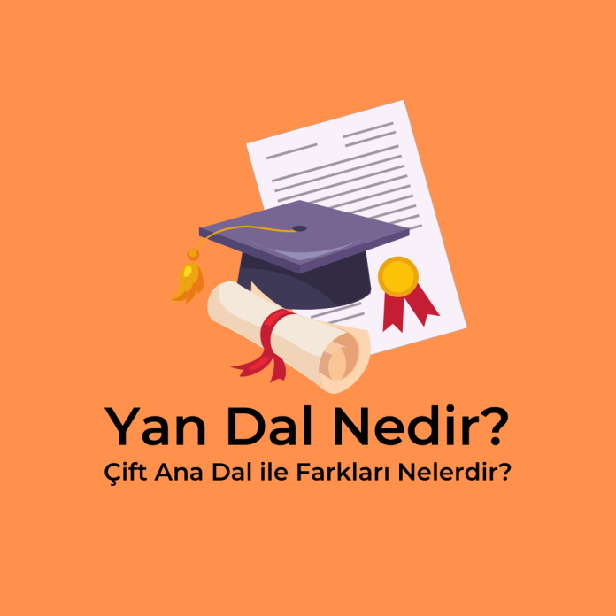 Yan Dal Nedir? Çift Ana Dal ile Farkları Nelerdir?