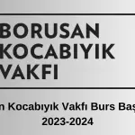 Borusan Kocabıyık Vakfı Burs Başvurusu 2023-2024