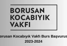 Borusan Kocabıyık Vakfı Burs Başvurusu 2023-2024